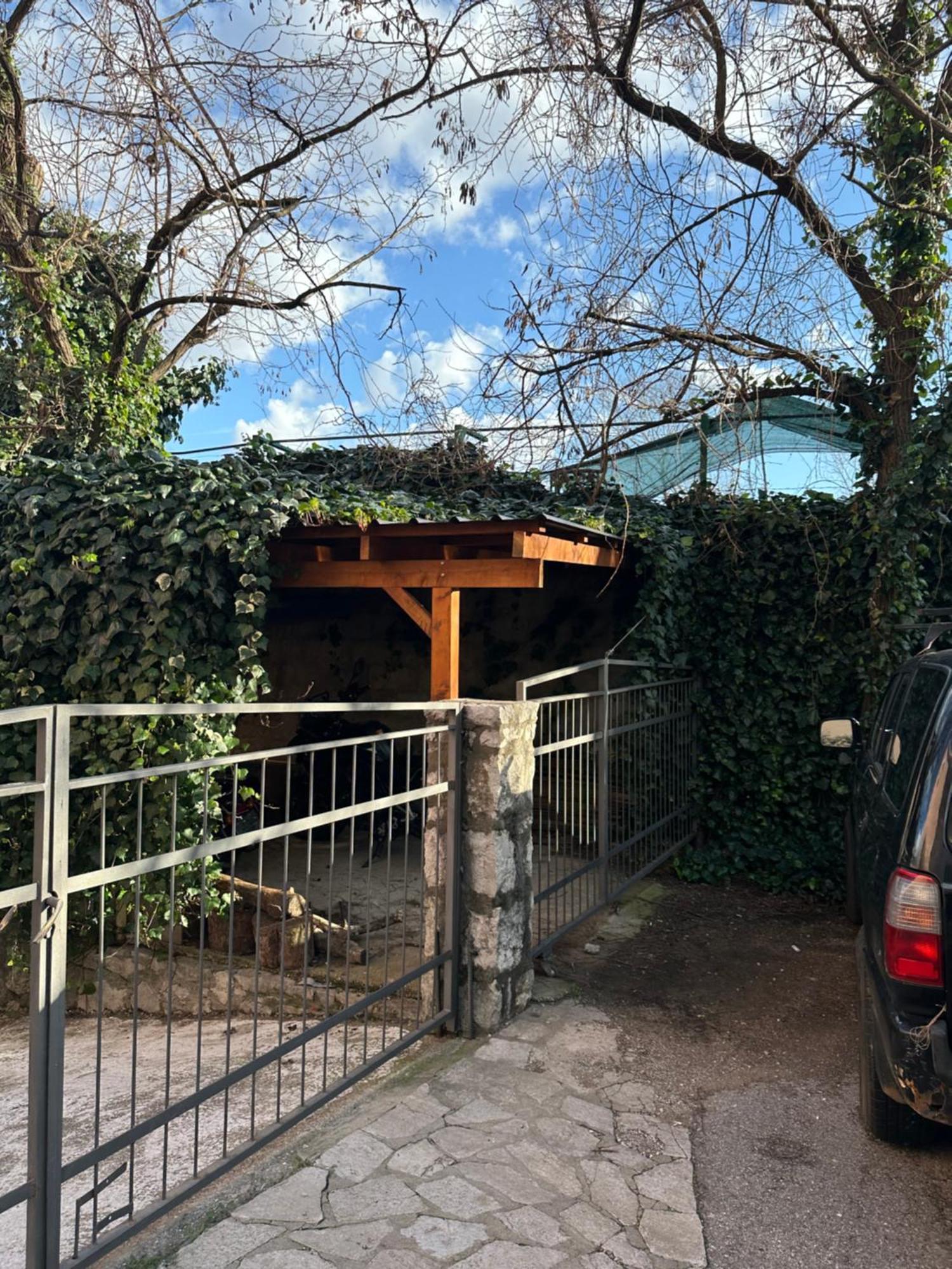 Collina Daire